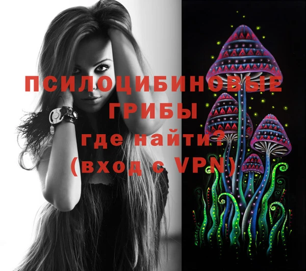 ПСИЛОЦИБИНОВЫЕ ГРИБЫ Алексеевка