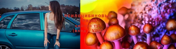 амф Алексин