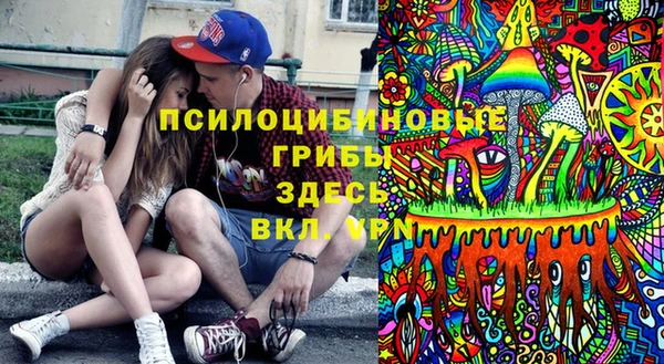 амф Алексин