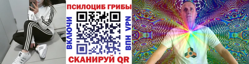 магазин продажи наркотиков  Черноголовка  Псилоцибиновые грибы мухоморы 